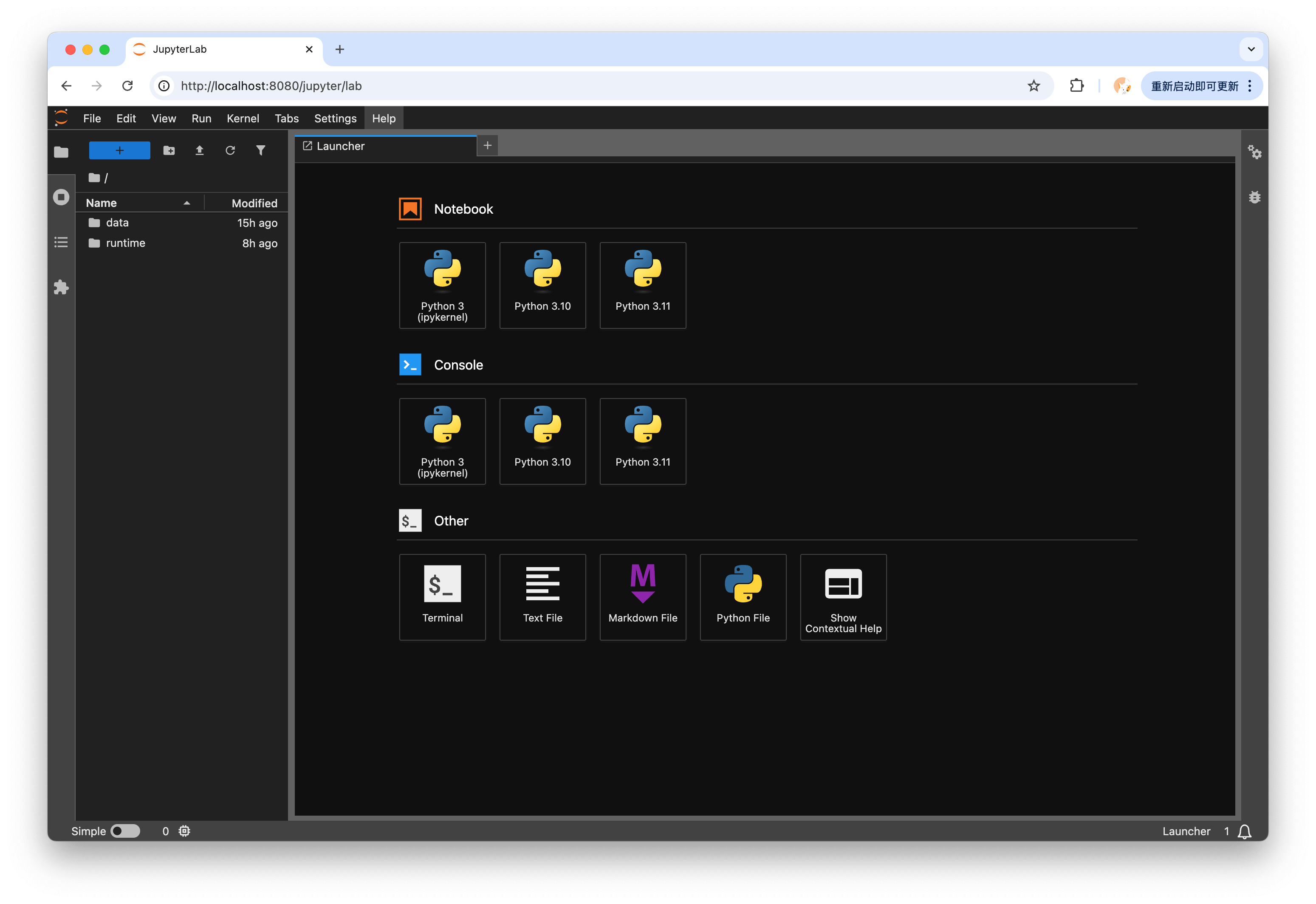 JupyterLab Interface